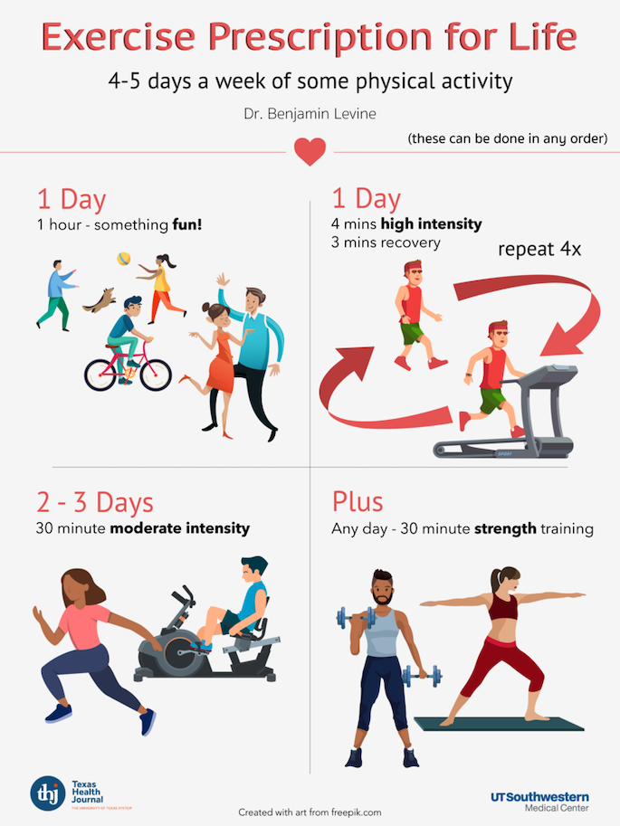 Cardiovascular Fitness: Best Exercises for Heart Health